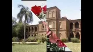 الفنان محمد وردى جميله ومستحيله كامله اوركسترا 