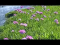 Close Your Eyes and Feel the Air 🍃, New english song |#lyricsNewenglish songs 2026#new #newsong#song