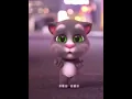 Download Lagu Kucing joged lucu aku sayang kamu sayang