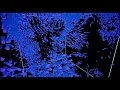 Flocking simulation Boids in Unreal Engine 4 Niagara GPU simulation stage