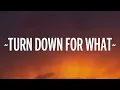 DJ Snake, Lil Jon - Turn Down for What (Lyrics)