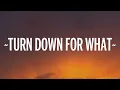 Download Lagu DJ Snake, Lil Jon - Turn Down for What (Lyrics)