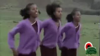 Mulunaa Fufaa Mammagaallanii Oromo Oromia 