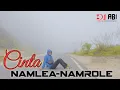 Download Lagu DJ ABI || CINTA NAMLEA-NAMROLE 2022 (Official Audio)