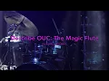 Beginners Guide to Opera: Moses Boyd talks about OperaUpClose's The Magic Flute