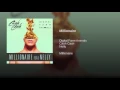 Millionaire (feat. Nelly) - Digital Farm Animals & Cash Cash