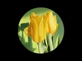 House music to dance to in early summer