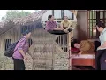 Download Lagu Mrs. Xuan asked permission to go home but did not see Mrs. Dam, she was very worried.