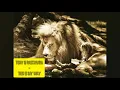 Download Lagu TONY Q RASTAFARA - THIS IS MY WAY