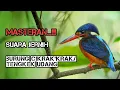 Download Lagu 🔴 MASTERAN... ‼️ Suara Jernih BURUNG CIKRAK'KRAK/TENGKEK UDANG