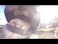 Cow Eats GoPro