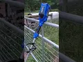 Kobalt 80V MAX Gas FREE Weed Eater