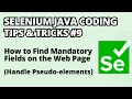 Selenium Java Coding Tips Tricks How to Find Mandatory Fields on the Page Pseudo-elements