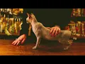 La Zarra - Fleur oubliée