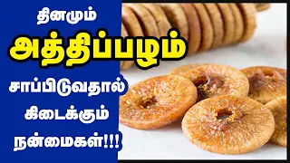  top 10 health benefits of fig fruit athipalam fig fruits angeer dry figs