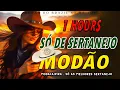 Só Modão Sertanejo Raiz #modão #sertanejo #raiz #sómodão #somodao