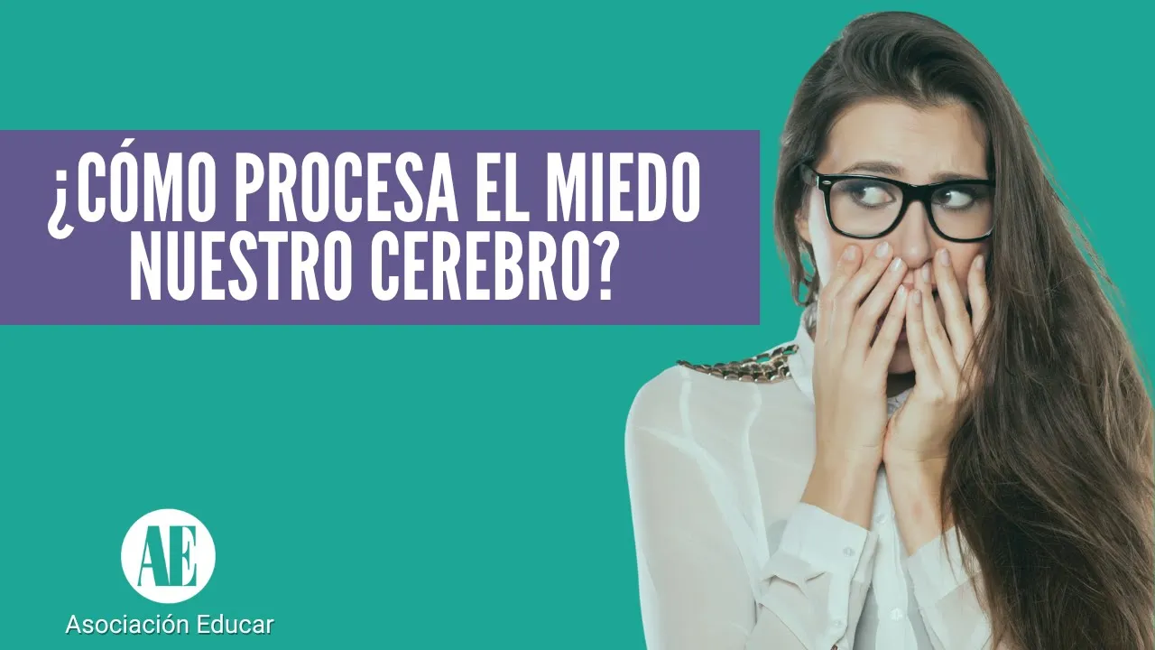 ¿Cómo procesa el miedo nuestro cerebro?