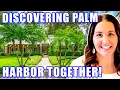 ULTIMATE GUIDE To Living In Palm Harbor FL Closer Look At Palm Harbor Homes St Pete FL Realtor