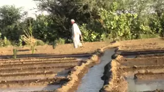 تعالوا نغني حنية   الفنانة حنان النيل دندنها