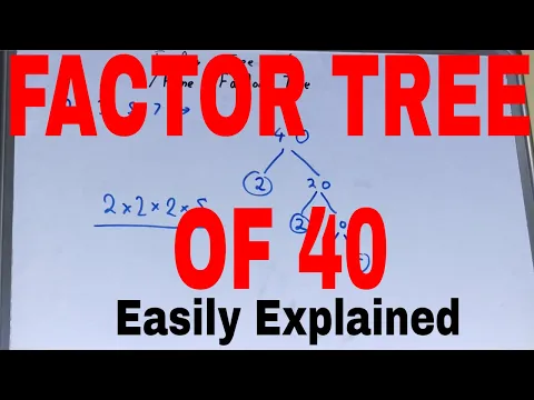 Download MP3 Factor tree of 40|How to draw factor tree of 40|Find factor tree of 40|40 factor tree explained