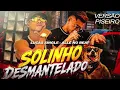 SOLINHO DESMANTELADO - LUCAS SINGLE - ALLE NO BEAT MUSICA NOVA PRA PAREDÃO