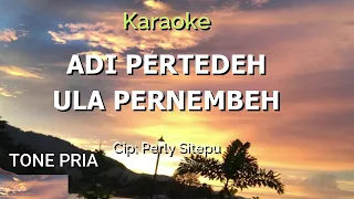 Download ADI PERTEDEH ULA PERNEMBEH - TONE PRIA MP3