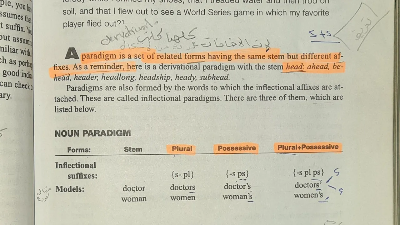 نحو مرحلة ثانية/ يونت 11 / inflectional paradigm/ المحاضرة الأولى
