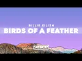 Download Lagu Billie Eilish – BIRDS OF A FEATHER (Lyrics)