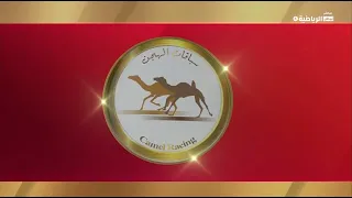 ش21 الشاهينية لـ حمدان مسيعد خالد المنصوري الوثبة الخامس8 11 2025ص لقايا بكار مهجنات إنتاج 7 38 98 