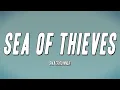 Download Lagu Snackrunner - Sea of Thieves (Lyrics)