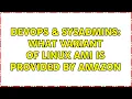 DevOps SysAdmins What variant of Linux AMI is provided by Amazon