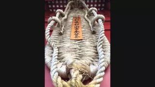 sa bujinkan ninjutsu visits japan september 2015