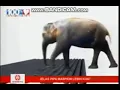 Download Lagu Iklan Maspion Pipa PVC - Jelas Lebih Kuat (2015) @ Metro TV, RCTI, Trans TV, Indosiar, \u0026 SCTV