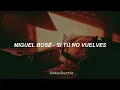 Miguel Bosé ; Si Tú No Vuelves | Letra