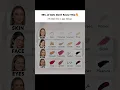 How to Apply Makeup Find Out the Right Order Step by Step Glam Notes