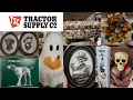 Tractor Supply - Lovely Fall Decor Cute Clever Halloween Decor