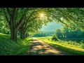 Download Lagu Muziek heelt het hart en de bloedvaten🌿 Rustgevende ontspannende muziek herstelt het zenuwstelsel