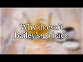 Why doesn t Bailey s go bad