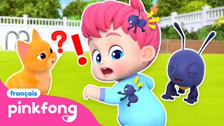 [BEST] 🐱 Miou le Chat et les Petites Fourmis 🐜 | +Comptines | Bebefinn Français 👶 Chansons Enfants