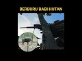Download Lagu BERBURU BABI HUTAN #shooting #menembak #tembak #berburu #senapanangin