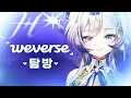 Download Lagu 헤비의 첫 weverse 탐방 [2025.04.26]
