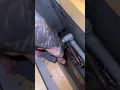 Plumbers Gainesville FL