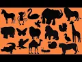 Lagu Qual Animal é Esse? Descubra Pela Sombra! Vídeo de Aprendizagem de Animais para Crianças