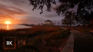 Relaxing Walk in Charleston South Carolina | Nature Sounds at Waterfront Park 8K HDR