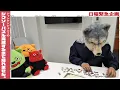Download Lagu 日曜緊急企画！！ザ・ノンフィックション！！