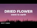 Lagu wave to earth - dried flower (Lyrics)
