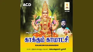 pamba udukkai instrumental solo