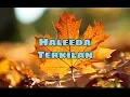 Download Lagu Haleeda - Terkilan
