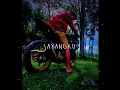 Download Lagu ojo nesu nesu story wa