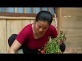 Single mother Trieu Thom faces an apology from her ex-husband—and the story behind it